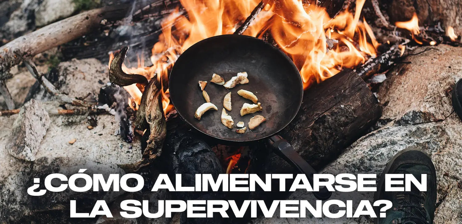 cómo-alimentarse-en-supervivencia