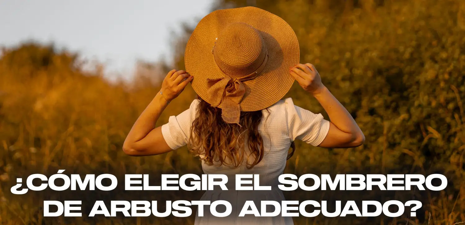 cómo-elegir-sombrero-arbusto-adecuado