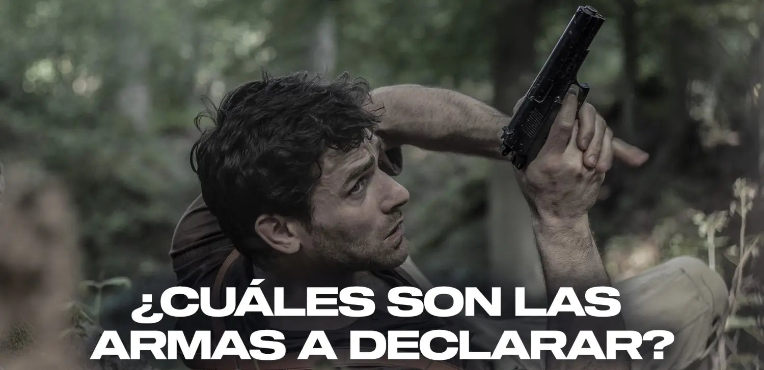 cuáles-son-armas-declarar