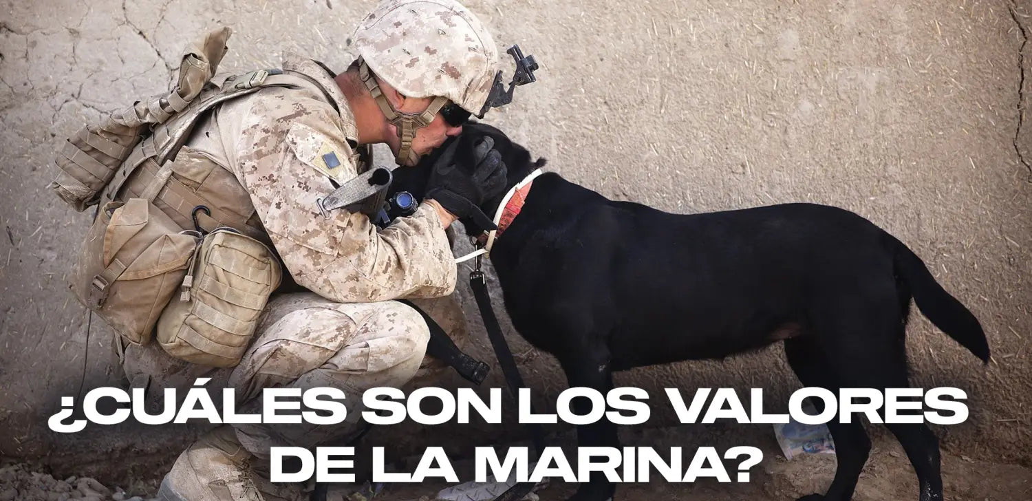 cuáles-son-valores-marina