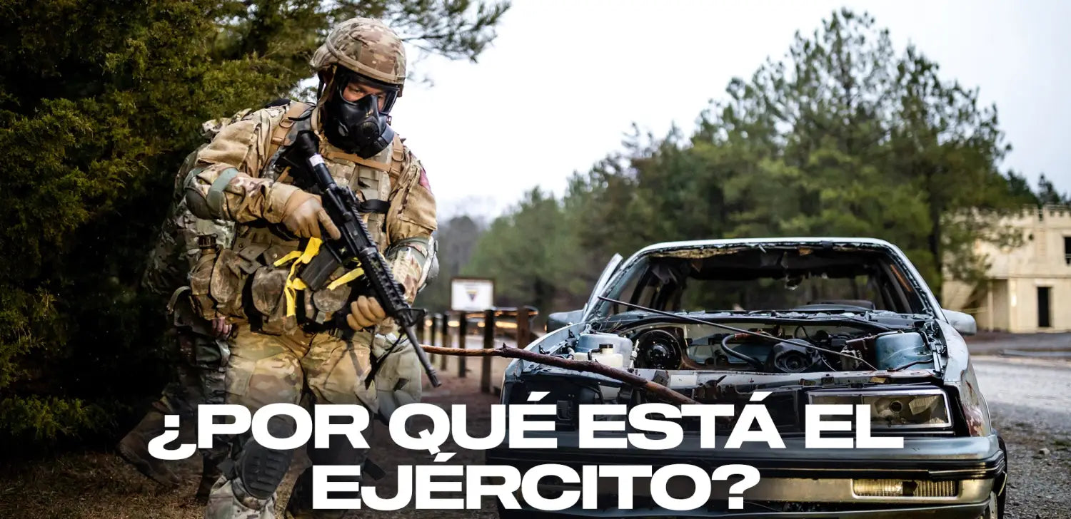 por-qué-está-ejército