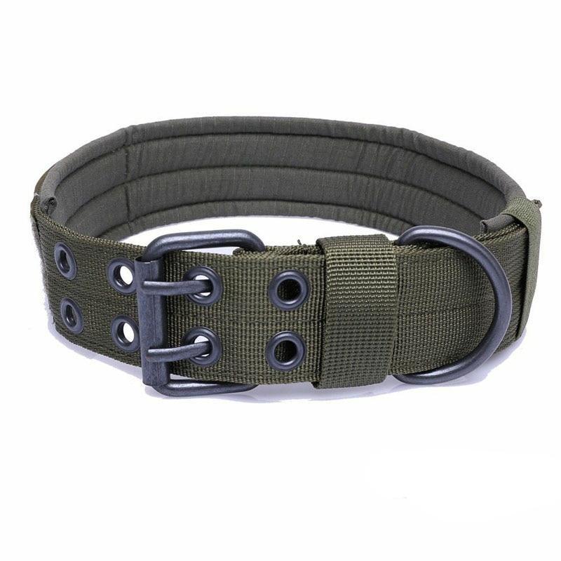 Collar militar perro