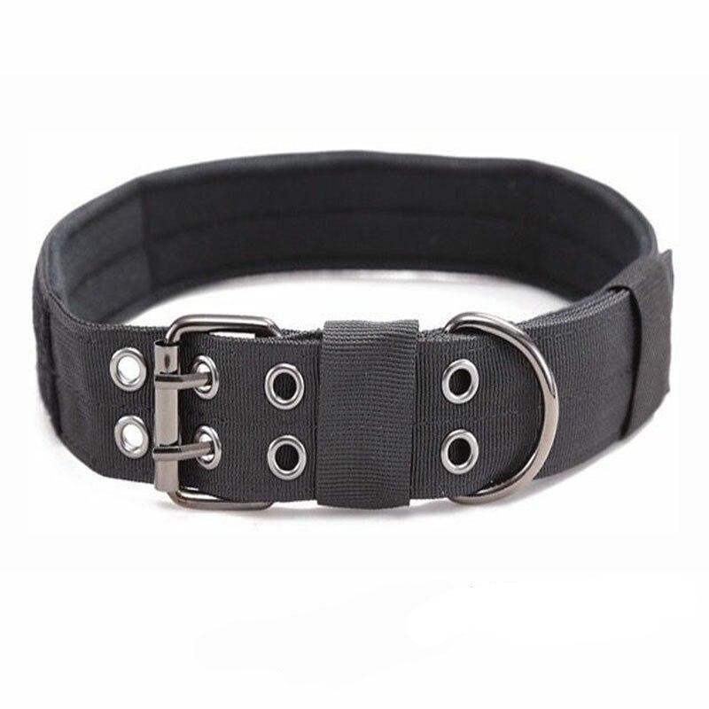Collar militar perro