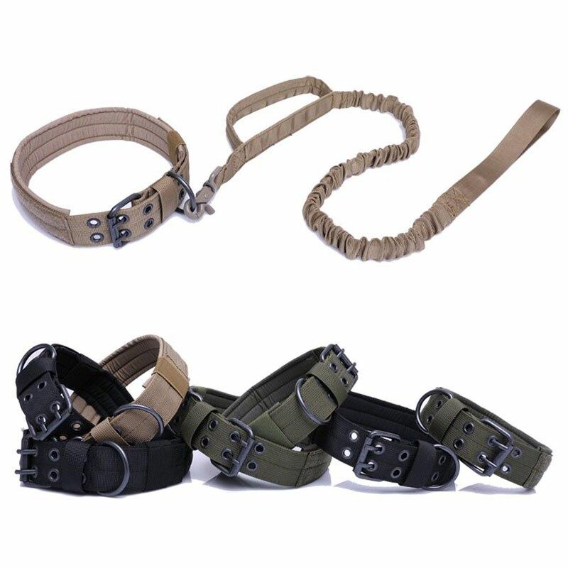 Collar militar perro