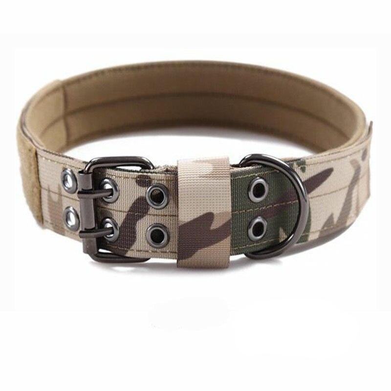 Collar militar perro
