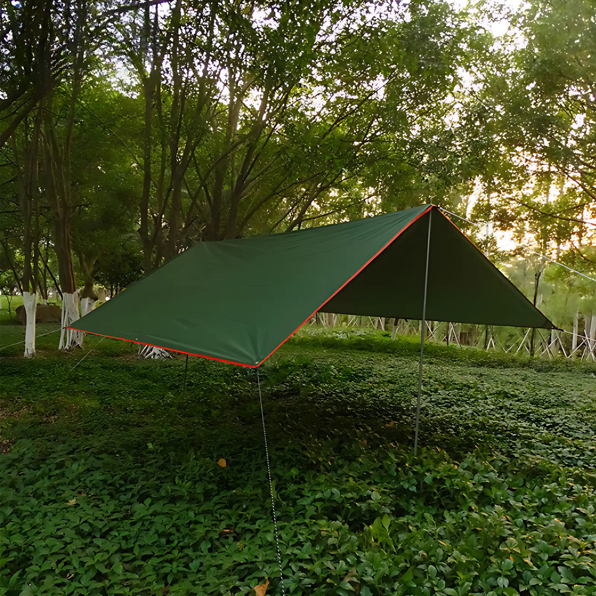 Tarps